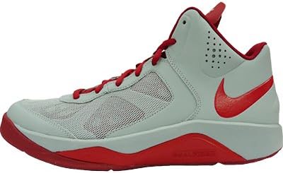 nike dual fusion bb