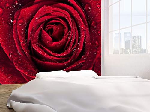vgoltd Beautiful red Rose with rain Drops Photo Wallpaper Wall Mural (6350196) Floral (220gsm Premium, XL 190cm Wide x 148cm high)