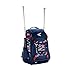 EASTON WALK-OFF IV Bat & Equipment Backpack Bag, Stars N Stripes