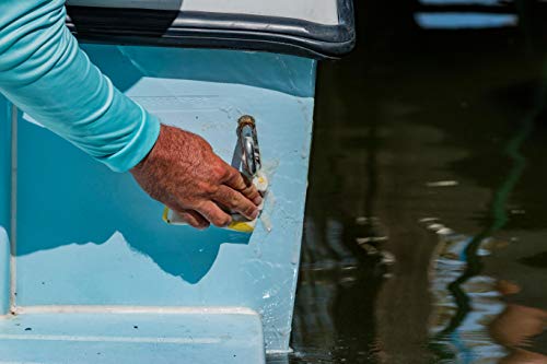 3 Star+brite+Rust+Stain+Remover