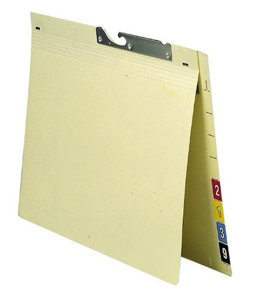 Elba Spektral 90402 Suspension File Cardboard Recycled Materials 230 g/M ² for Official Filing with Extended Tab for Numbers Pack of 50 Chamois
