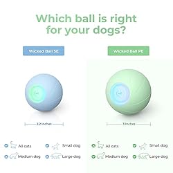 [3 Interactive Modes] Cheerble Intelligent