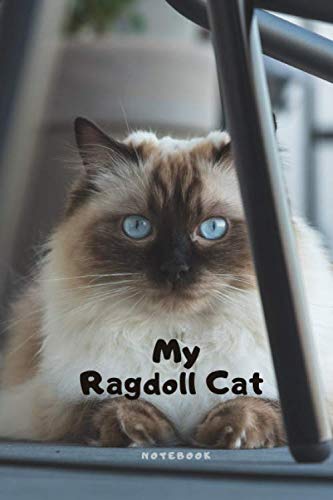 ragdoll cat themed gifts