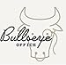Bullseye Office Magnetic World Globe (Black)