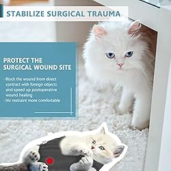 SUNFURA Cat Recovery Suit, Cat Onesie for Cats