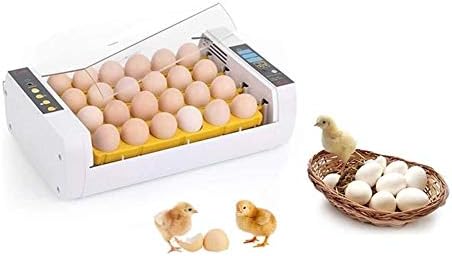 B08dcwd2ym 恒温 乾燥機器 鶏のアヒルのガチョウ鳥用孵化卵 卵インキュベーター自動温度制御孵化24卵家禽爬虫類ハッチャーのためのインキュベーター 恒温器 Wanglx B08dcwd2ym 恒温 乾燥機器 鶏のアヒルのガチョウ鳥用孵化卵 卵インキュベーター自動温度制御孵化24卵家禽爬虫類ハッチャーのためのインキュベーター 恒温器 Wanglx