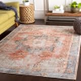 Livabliss Suri Vintage Washable Area Rug 2' x