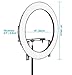 Neewer Photo Studio LED Ring Light Lighting Kit - 19-inch Outer 14-inch Inner 3200-5600K CRI 96+ Dimmable Bi-color SMD LED Ring Light with Bracket, 2-meter Light Stand for Portrait Video Shooting