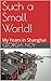Such a Small World!: My Years in Shanghai by Georgia Noy