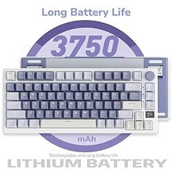 RK ROYAL KLUDGE M75 Mechanical Keyboard