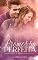 Livro Promessa Perfeita (Spin-Off de Promessa Perversa)