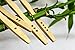 Love My Teeth Bamboo Toothbrushes (Family 4-Pack) Ergonomic, Angled Bristles | Gentle on Teeth & Gums | Fights Plaque Buildup, Gingivitis | Promotes Oral Health