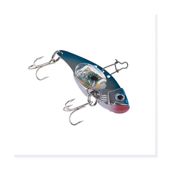 LEMONBEST-Deep-Sea-Underwater-LED-Fishing-Flashing-Light-Squids-Jigs-Cuttlefish-Saltwater-Fishing-Lures-Pack-of-2
