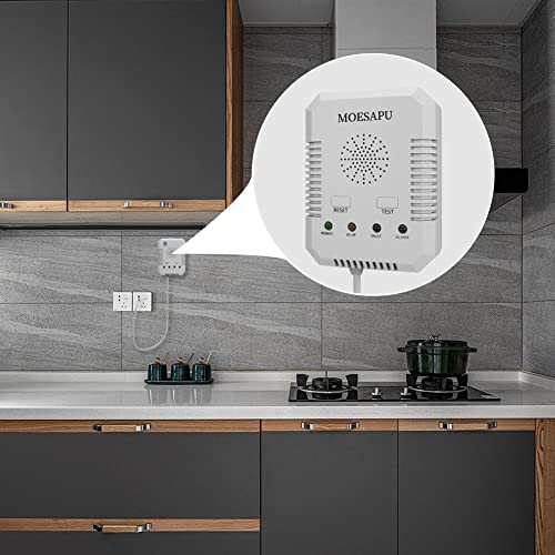 Plugin Carbon Monoxide Detector and Natural Gas Detector Alarm with