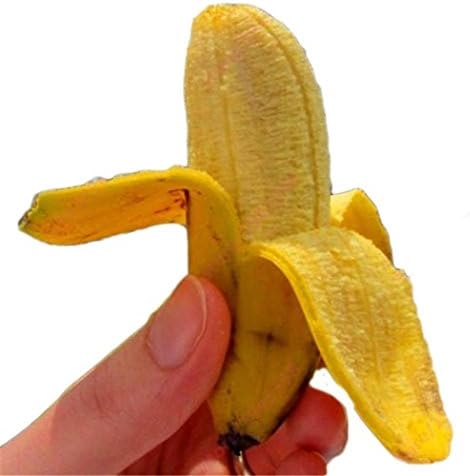 ICCUN Fruit Exotic Home Garden Plants Seeds Dwarf Banana Tree Plant Seeds