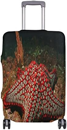 A Starfish With White Stains On The Seabed Travel Luggage Cover Washable Spandex Baggage Suitcase Cover Protector Carry On Covers Fits L 26-28 in