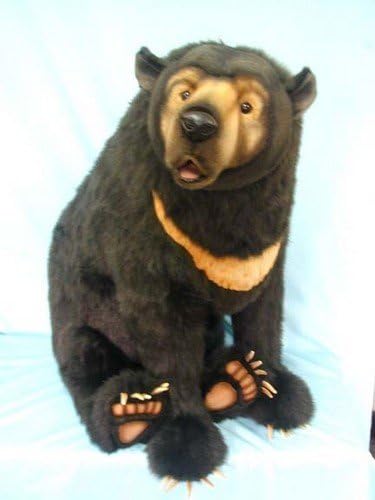 sun bear stuffed animal
