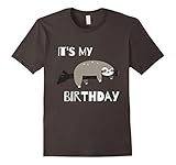 Sloth Birthday T-Shirt