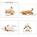 UNIQME Dog Plush Doll Stuffed Shiba Inu 3D Animal Zoo Pet Throw Pillow Bed Nursery Decoration Baby Play Toy Puppy Shape Sleeping Pillow Gift For Girl Boy 21.6”