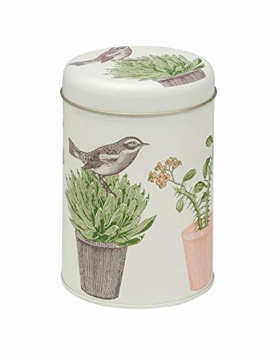 Thornback & Peel TP2901 - Bird & Cactus - Caddy Tin