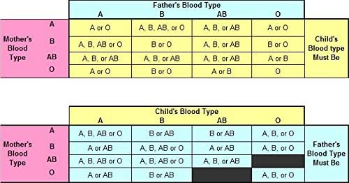 1 x Blood Type Test Kit - Group A, B, RHD Testing - Home EldonCard Tests - Image 5