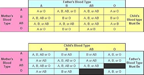 2 x Blood Type Test, A,B,O,AB & Rh Blood Group Testing and
