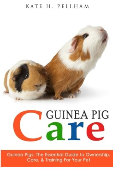 proper guinea pig care