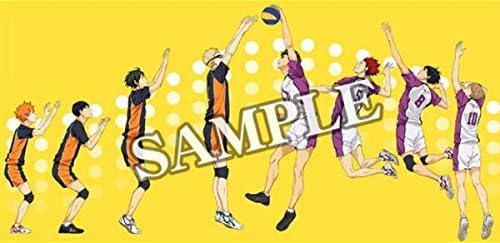 Amazon ｂｄ ハイキュー 烏野高校ｖｓ白鳥沢学園高校 全巻連動購入 アニメイト特典 描き下ろし絵柄タペストリー アニメ 萌えグッズ 通販
