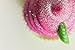 Strawberry Basil Cupcake Novelty Handmade Soap - All Natural Soap - Ideal Gift for Any Occasion