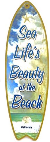 California, Surf board plaques, " sea life's beauty at the beach", Souvenir wood Wall Decor, size 5" x 16", 4go