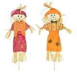 Autumn Harvest Scarecrow Stakes, 28