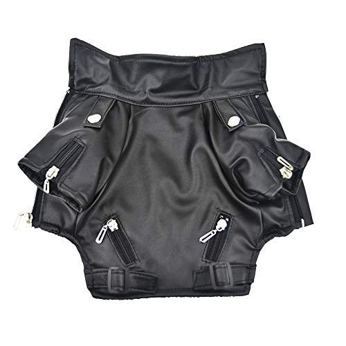 small dog leather jacket