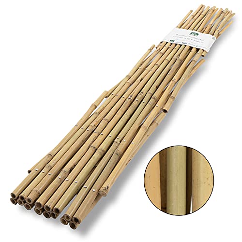 Floordirekt Bambus Rankgitter für Garten, Balkon & Terrasse | Individuell ausziehbar | Witterungsbeständig & langlebig… – Bild 5