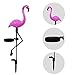 2 Pcs Flamingo Ground Spike Lights Solar Powered Garden Light Waterproof Park Decorative Lawn Lamp Pathway Outdoor Yard Walkway (Solar Flamingo)