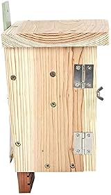 Wildlife World Original Bat Box OBB Two Chamber FSC Timber Garden Woodland Wall view 5