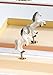 Enchantmints Hideaway Horse Music Jewelry Box
