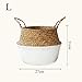Aneil Woven Belly Storage Basket, Seagrass Planter with Handle, Plant Flower Pots, Home Kitchen Organizer (L, White)