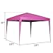 outdoor basic 10 x 10 ft Pop-Up Canopy Tent Gazebo for Beach Tailgating Party Pink