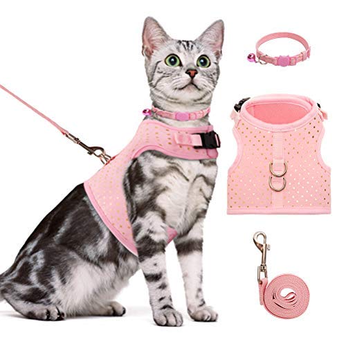 Bingpet Cat Harness And Leash For Walking Escape Proof Adjustable