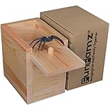 FunFamz The Original Spider Prank Box- Funny Wooden Box Toy Spider Prank, Hilarious April Fools Day, or Birthday Surprise Toy and Gag Gift Practical Joke Bromas Kit