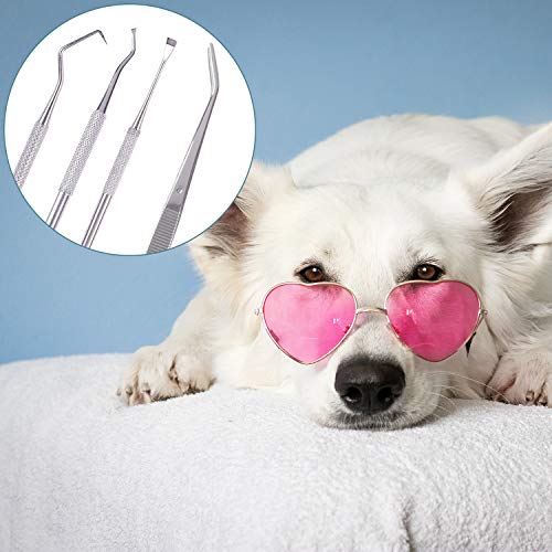 Xgood 4 Pieces Dog Tooth Scaler Tools Set Pet Dental Tooth Scaler and Scraper Stainless Double Headed Pet Teeth Cleaning Tools Tartar Remover Sets with Black Bags for Pet Dogs Cats (A)