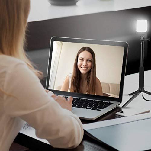 Light Video Conference, CHANONE Video Conference Lighting Kit Lighting