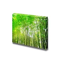 Canvas Prints Wall Art - Green Bamboo Forest, Background Texture | Modern Wall Decor/Home Decoration Stretched Gallery Canvas Wrap Giclee Print. Ready to Hang - 12" x 18"