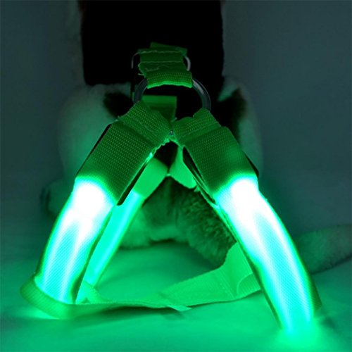 SMYTShop LED Flashing Dog Walking Belt Harness Leash Strong Nylon Webbing Tether Pet Safety Collar Comfortable Strap Vest for Large Medium Dog (Green, S)