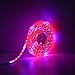 Grow LED Lights,GLIME 5050 SMD LED Plant Lights Grow Lamp with Control Panel 5M Waterproof Flexible Soft Strip with Adapter for Office Home Greenhouse Hydroponics Indoor Plant Flower Seeds Growth US