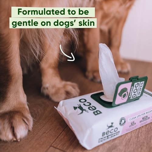 Beco Dog Wipes - 1 Pack of 80, Coconut Scented, For Paws, Body and Bum, Plant-Based Grooming Wipes