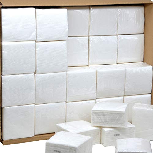 URSING Toilet Paper Multifold Premium 4-Ply Paper Towels 10 Rolls Paper Hand Towels Toilet Paper Toilet Roll Tissue (White B, Free Size)