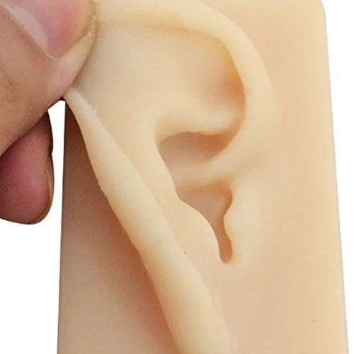 Tinsay Natural Size Human Right Ear Model Life Size Silicone Ear Acupuncture Practice Model - Thumbnail 2