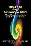 Healing Through Chronic Pain: A physical therapist's personal journey of body/mind/spirit transforma by Mary Ruth Velicki, Colleen Sell