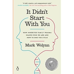 It Didn’t Start With You: How Inherited Family Trauma Shapes Who We Are and How to End the Cycle Paperback – Geïllustreerd, 25 april 2017